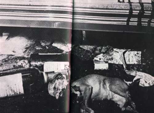 jayne mansfield car crash