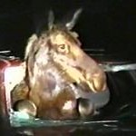 <b>Moose Stuck In Car</b>