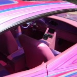 <b>Hawaiian car accessories</b>