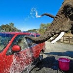 <b>Starting a car wash business</b>