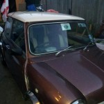 <b>Mini with special body color that blinks</b>